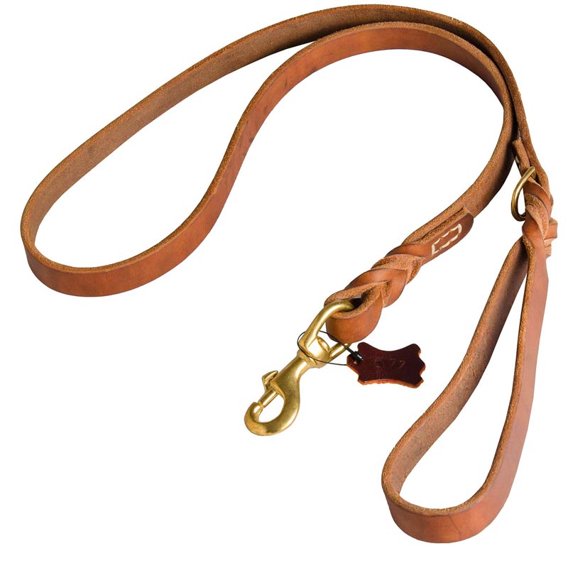 Walking and Training Leather Dog Leash with Comfy Handle [L77##1144 ...