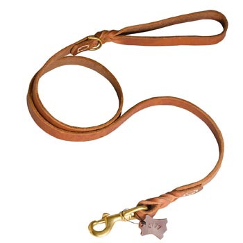 Training Leather Dog Leash with Handle