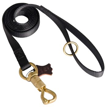 Professional Nylon Dog Leash for Police Training of Dog