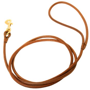 Leather Round Leash for Dog Elegant Look