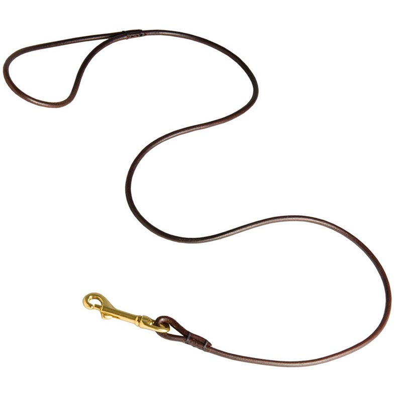 thin leather dog leash