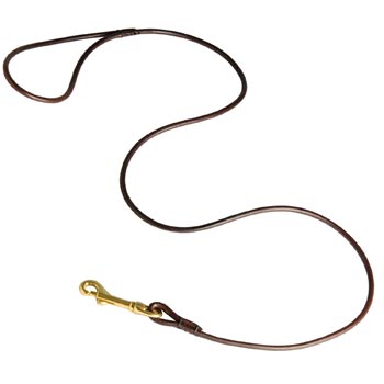 Leather Canine Leash for Dog Presentation at Dog Shows