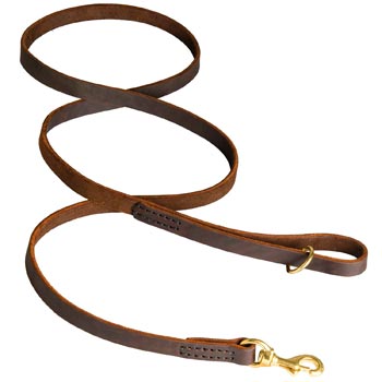Classic Stitched Leather Dog Leash