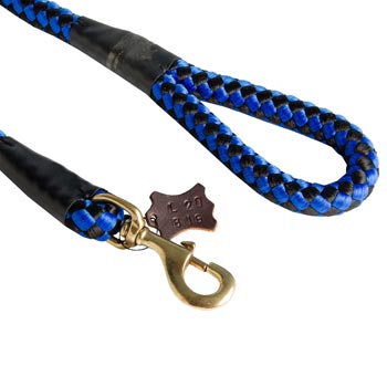 Blue Nylon Dog Leash 