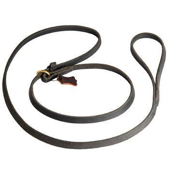 Leash and Collar Combo for Dog Walking and Training