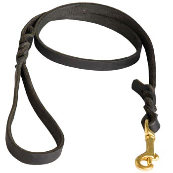 Training Leash for Dog