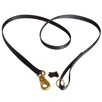 Dog Leash Nylon for Dog Everyday Walking 