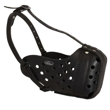 Training Leather Dog Muzzle for Dog