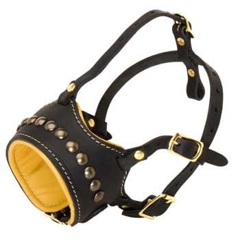 Dog Muzzle for Walking